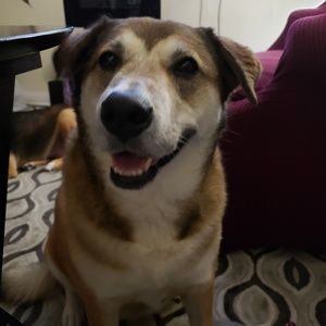 Meet your Posher, Tracey